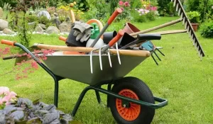 Jardinería y herramientas